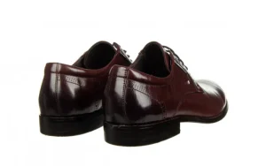 Półbuty D788-159-626 Red 104231, Brązowy, Skóra naturalna | John Doubare Sale