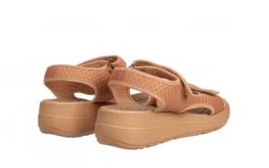 Sandały Greice Soft Papete Brown 198044, Brązowy, Materiał | Azaleia Fashion