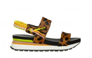 Sandały Leverett Leopard 602211, Wielokolorowy, Skóra naturalna | Gioseppo New