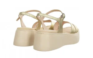 Sandały A-3710 Platino 138019, Złoty, Skóra naturalna | Wonders Hot