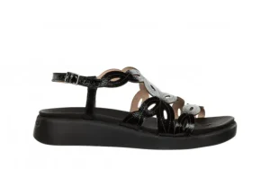 Sandały C-6542 Negro 138023, Czarny, Skóra naturalna | Wonders Best