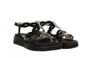 Sandały C-6542 Negro 138023, Czarny, Skóra naturalna | Wonders Best