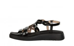 Sandały C-6542 Negro 138023, Czarny, Skóra naturalna | Wonders Best