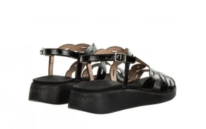 Sandały C-6542 Negro 138023, Czarny, Skóra naturalna | Wonders Best