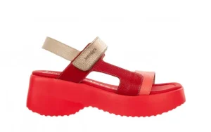 Sandały D-9725 Coral 138030, Różowy, Skóra naturalna | Wonders Discount