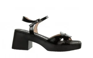 Sandały D-1021 Negro 138028, Czarny, Skóra naturalna | Wonders New