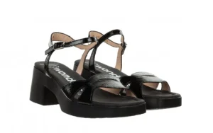 Sandały D-1021 Negro 138028, Czarny, Skóra naturalna | Wonders New