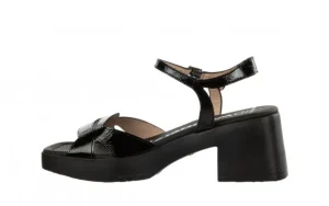 Sandały D-1021 Negro 138028, Czarny, Skóra naturalna | Wonders New