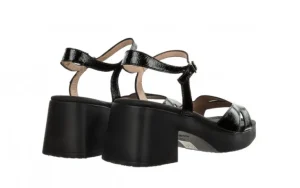 Sandały D-1021 Negro 138028, Czarny, Skóra naturalna | Wonders New